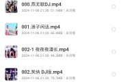 抖音热卖车载音乐+视频合集